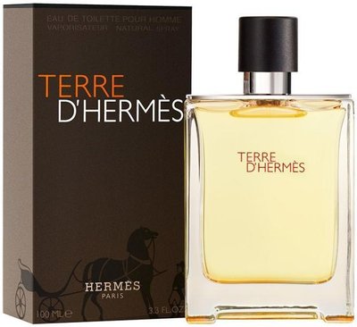 Hermes Terre d'Hermes edt 100 ml, Франция 084075 фото