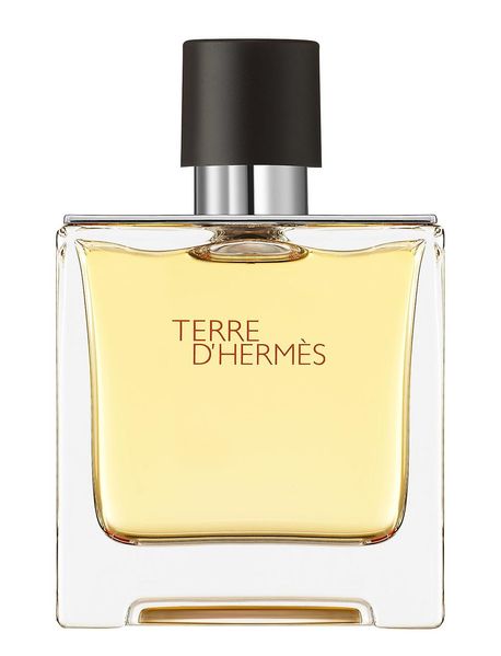 Hermes Terre d'Hermes edt 100 ml, Франція 084075 фото