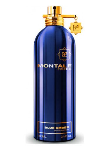 Montale Blue Amber edp 100ml, France 11616 фото