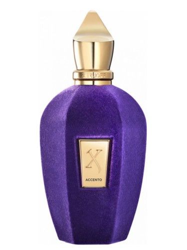 Xerjoff Accento edp 100 ml, Italy 991183 фото