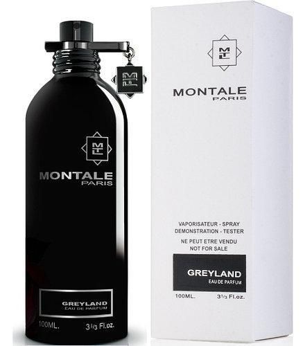 Montale Greyland edp 100ml, Франция 11631 фото