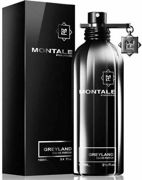 Montale Greyland edp 100ml, Франція 11631 фото