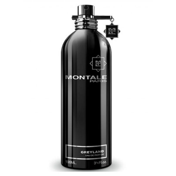 Montale Greyland edp 100ml, Франция 11631 фото